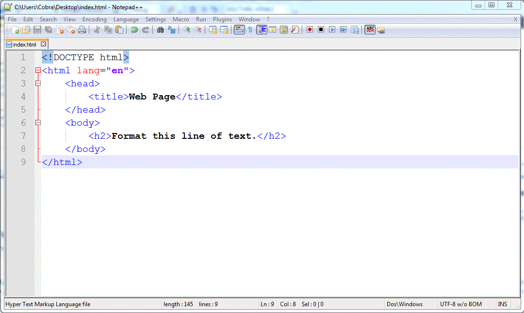 Notepad++