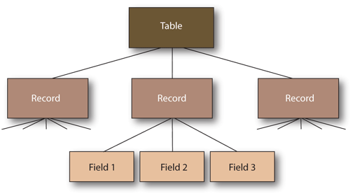 Tree structure.